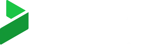 Bizagi